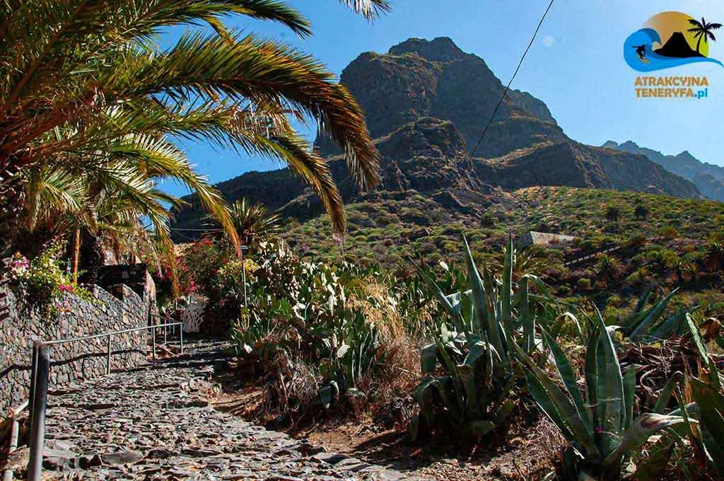 Wycieczka na wulkan El Teide oraz do wioski Masca na Teneryfie