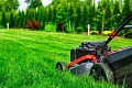 Wiosenna pielęgnacja trawnika: jak dbać o trawę i zapobiegać chwastom